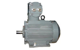 Flame Proof Series (Low Voltage Motors)