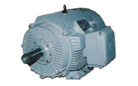 Increased Safety Series (Low Voltage Motors)