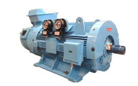 Spectrum Series (Low Voltage Motors)
